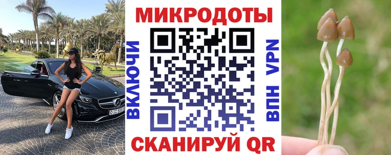 Купить  Муром  Псилоцибиновые грибы MAGIC MUSHROOMS 